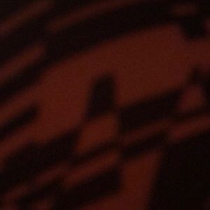 Meet your Posher, Brooklynn